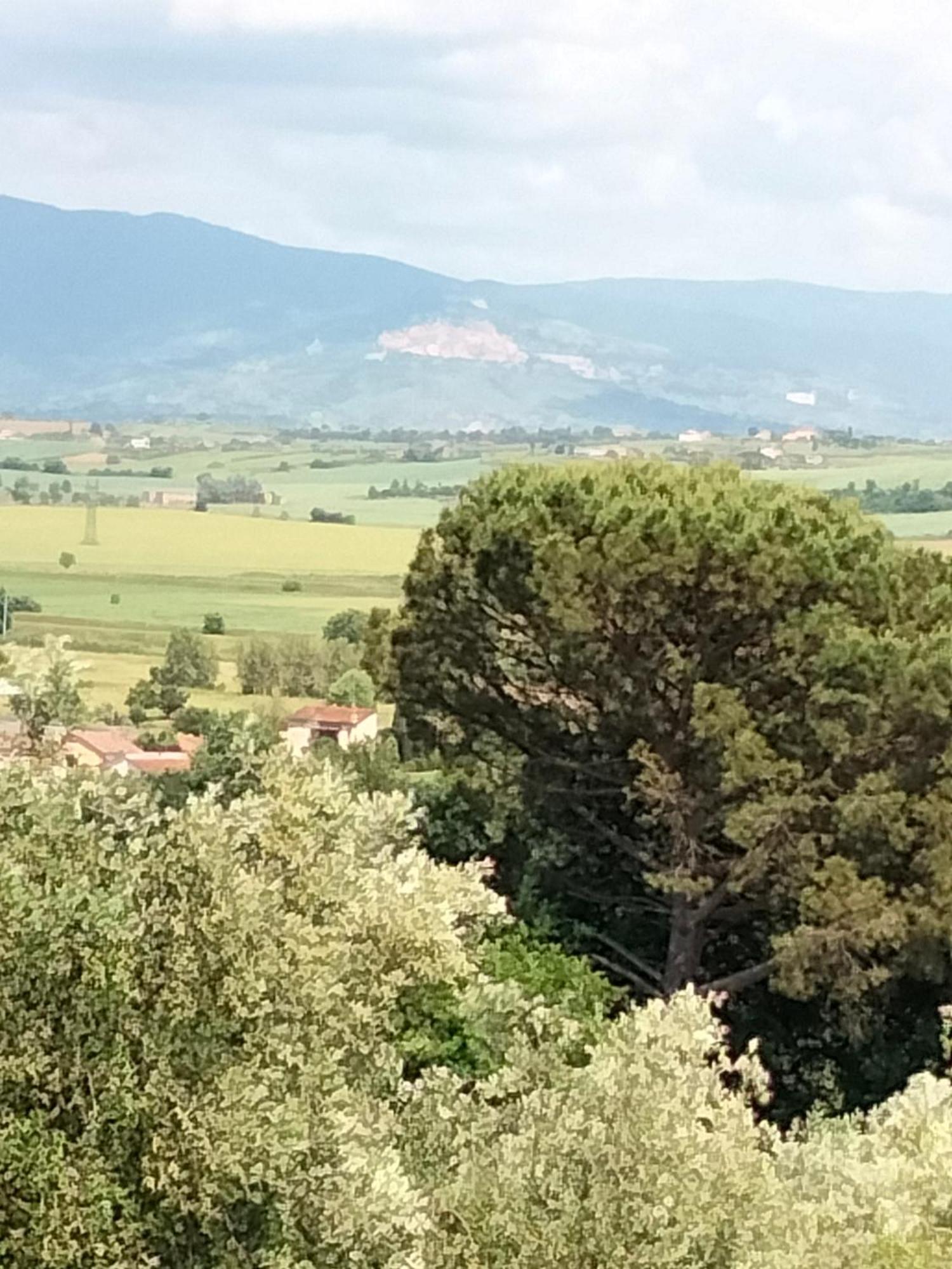 Villa Spaccasole Su Cortona Foiano Della Chiana Kültér fotó