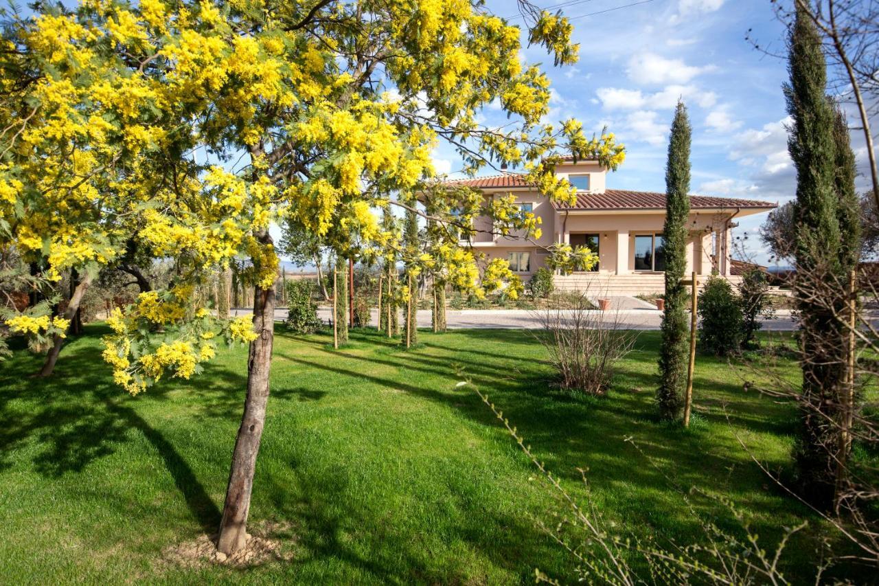 Villa Spaccasole Su Cortona Foiano Della Chiana Kültér fotó